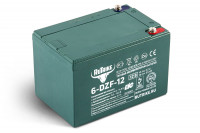 Аккумулятор 12V 12Ah C3 тяговый 6-DZF-12 GEL