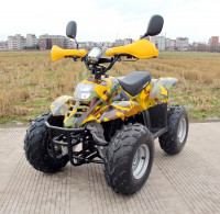 Квадроцикл GreenCamel Гоби K600 (36V 800W R7 Цепь)