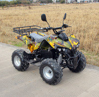 Квадроцикл GreenCamel Atakama T300 (48V 1000W R8 Дифференциал)