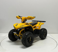 Квадроцикл GreenCamel Гоби K90 (48V 750W R7 Дифф) LUX Bluetooth с пробегом
