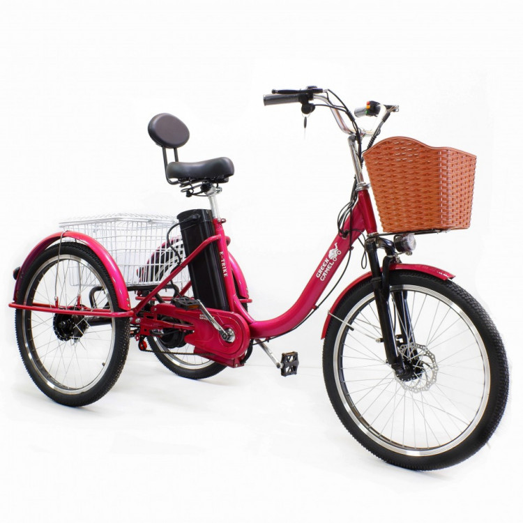 Электровелосипед GreenCamel Трайк-B (R24 500W 48V) УЦЕНКА царапины
