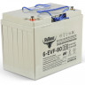 Аккумулятор 12V 80Ah C3 тяговый 6-EVF-80 GEL (RuTrike)